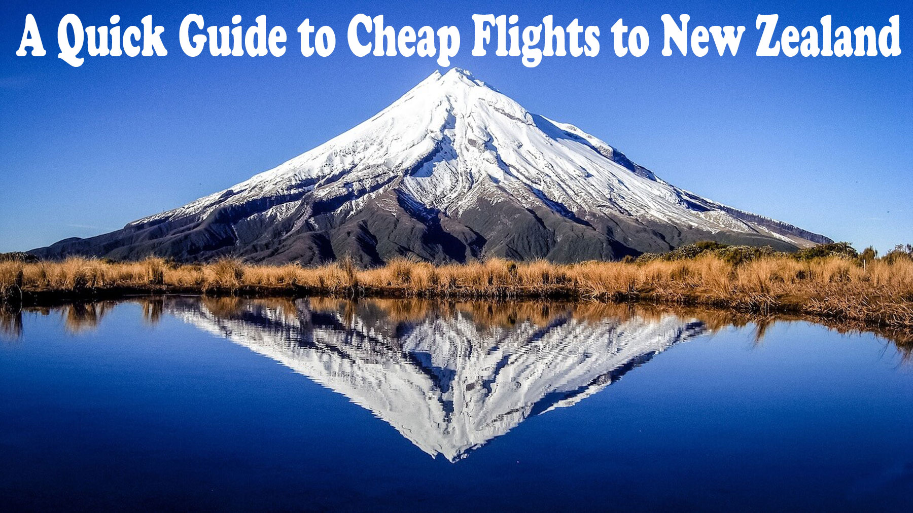 Best Prices For Flight Tickets | Travel Plan Now